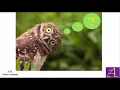 Topic 6 Debugging Tools - Practice Debugging a VBA Program Part 1