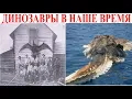 Download Lagu Динозавры в наше время.| Виктор Максименков-НАН