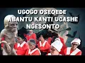 Download Lagu Umzukulu egonyuluka ngo gogo wakhe othakathayo‼️#trending