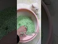sieu thi cho meo hcm New cát vệ sinh cho mèo ACAT