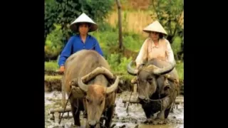 ebiet g ade cita cita kecil si anak desa