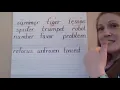 3rd Grade Phonics Lesson open and closed syllables