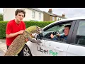 I Tested PET FRIENDLY Ubers With Dangerous Animals