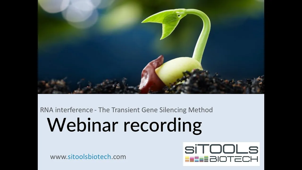 Webinar RNA interference - The Transient Gene Silencing Method Reliable with high-complexity siPOOLs