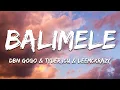 Download Lagu DBN Gogo \u0026 Tyler ICU \u0026 Leemckrazy - Balimele (Lyrics)