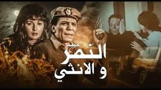النمر والانثي بطولة عادل امام و اثار الحكيم  النمر والانثي بطولة عادل امام و اثار الحكيم