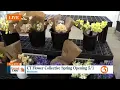 CT Flower Collective