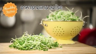 ต้นอ่อนทานตะวันมีประโยชน์ต่อสุขภาพอย่างไรบ้าง