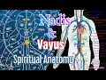 Download Lagu Nadis \u0026 Vayus / Energy Pathways and Different Energies in Body/ Spiritual Science/ Neel Bhairav