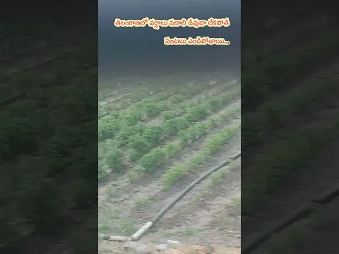 దేవుడా కరుణిo చయ్య 🙏🏻