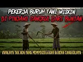 Download Lagu BURUH TANI YANG DIPINJAMI CANGKUL DARI BUNIAN - cerita mistis