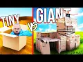 Tiny VS GIANT Box Forts Challenge!