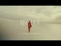 VISCERAL  - JOSÉ JR (visualizer)