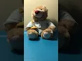 GUND Bedtime Bear Animated Plush Talks Sings Candle Lights Up Sleepy Bear 15