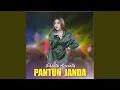 Download Lagu Pantun Janda