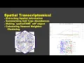 Spatial Transcriptomics - Part 5 Univariate Spatial Clustering Calculation