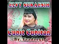 Download Lagu DJ ASIK CUBIT-CUBITAN DANGDUT VERSI JUNGLE DUTCH (BAYU BELENK )