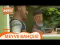 Meyve Bahcesi Doru 38 Bolum