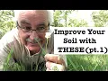 Soil Improving Nitrogen Fixing Plants Part 1 Perennials Vines and Annuals