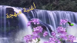 الدنيا شتت أفراح وودعنا العزوبية أغنية كلها بهجة 