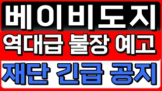 [베이비도지 코인전망] 역대급 불장 예고 재단 긴급 공지