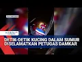 Download Lagu Damkar Turun Tangan Selamatkan Kucing Tercebur Sumur