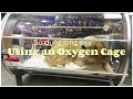 Using an Oxygen Cage - Sử dụng lồng oxy