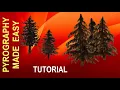 Wood Burning for beginners - 3 types of Evergreen Trees