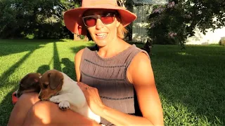 Serendipidy brings sailing family together reunited – Ep 81