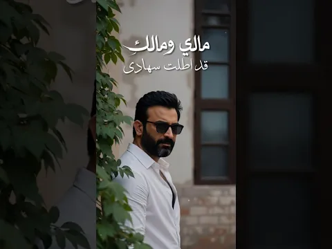 مصطفى الربيعي - لذيذ رقادي