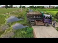 Download Lagu Be WAatchful Start New Project!!Truck5TFilling Stone Feild,,Skillful Dozer D31P Pushing Soil Perfect
