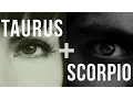 Taurus Scorpio Love Compatibility