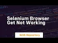 selenium browser get not working