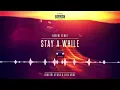 Dimitri Vegas & Like Mike - Stay A While (Angemi Remix)