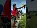 Download Lagu Tiktok Bocah Merpati