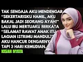 Lagu SUAMIKU SELINGKUH DENGAN SEKERTARISNYA SAMPAI HAMIL DAN DIDUKUNG OLEH IBU MERTUA - KUBALAS DENGAN...