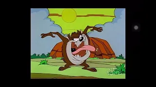 Metv Toons Tis The Season For Toons Taz Mania 