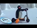 Download Lagu Pingu and the New Scooter!   Pingu Official   1 Hour   Cartoons for Kids
