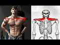 How To Get Wider Clavicles ALL Methods Ranked