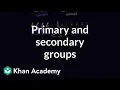 Primary and secondary groups Individuals and Society MCAT Khan Academy