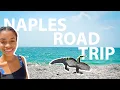 Journey from Miami to Naples Up Close w Alligators and the Smallest Post Office in the U S