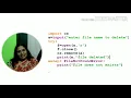 How to remove and rename files in python program By Ella Joshi