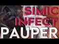Simic INFECT Relic s Roar tech turn 2 wins MTG PAUPER