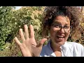 Tip Nurturing Curiosity - Connecting in Nature