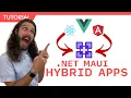 Building Hybrid Apps with NET MAUI for iOS Android Mac Windows React Vue js Angular More