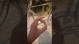 Https Www Instagram Com Reels Audio 1344070019596719 