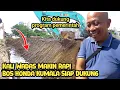 Alhamdulillah..Kali Wadas Makin Lebar dan Rapi || Bos Honda Kumala Siap Mendukung Program Pemerintah