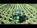 Download Lagu Jutek Flex Trac at Badger Evergreen Nursery USA
