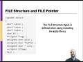 Reading Text Files in C