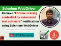 Remove Chrome is being controlled by automated test software notification using Selenium WebDriver
